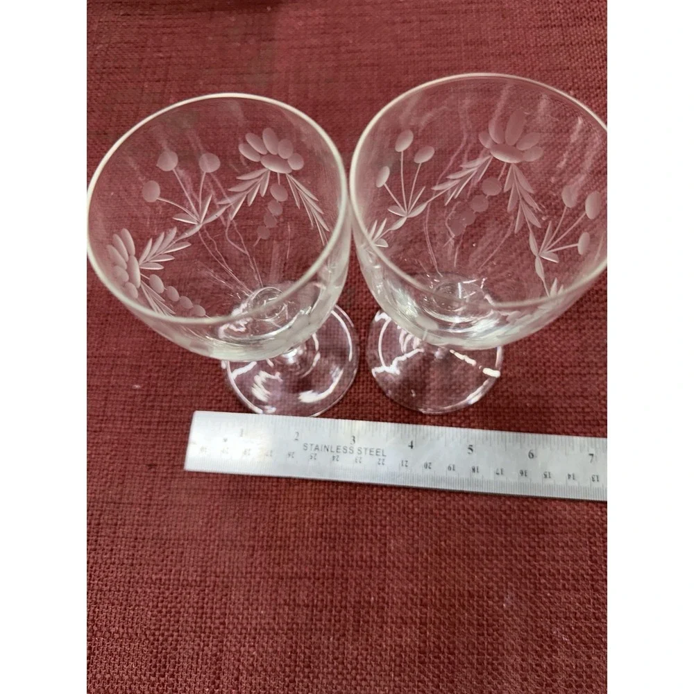 Etched Glass Floral Leef‎ Goblets 6.5